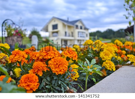 Beautiful small  flower garden and house in background.