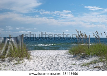 A view of the Florida gulf coast with sea oats in the foreground.