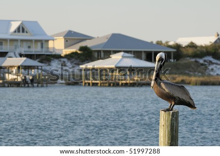 A pelican resting on a post across from Ono Island Alabama.