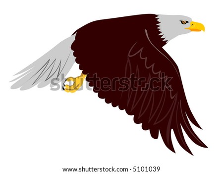 american eagle flying. American Bald Eagle flying