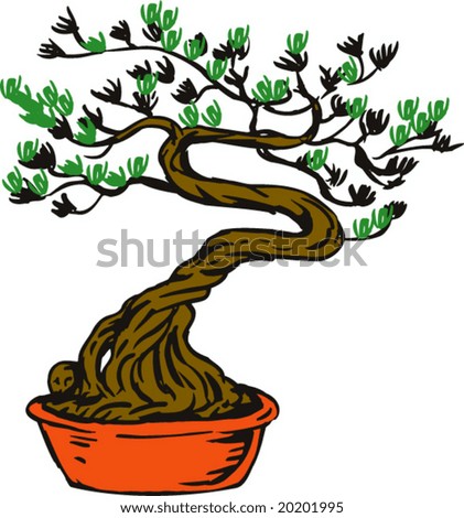 tropical bonsai tree tropical bonsai tree tropical bonsai trees