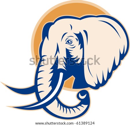 african elephant head. african bull elephant head