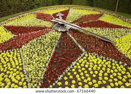 image of a face of watch clock made from flower plants