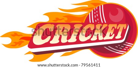 illustration of a cricket sports ball with fire and flames on isolated white  background done in retro style