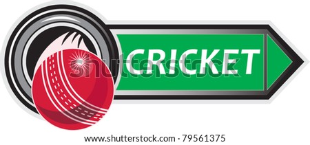 illustration of a cricket sports ball with arrow on isolated white  background done in retro style