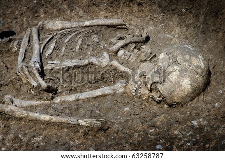 grave burial skeleton human bones