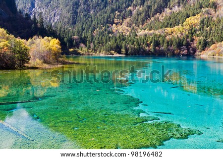 Colorful Lake
