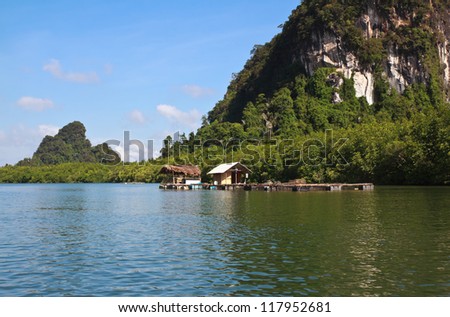 Mini houses and mangrove swamp