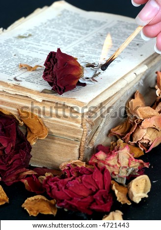 Old book, roses and fire