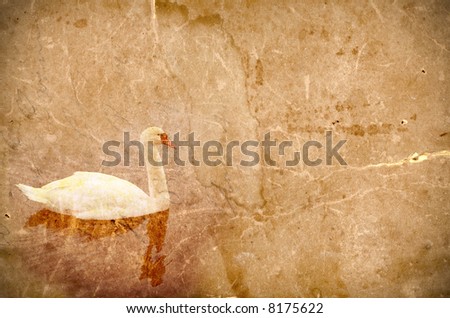 Swan on grunge paper background