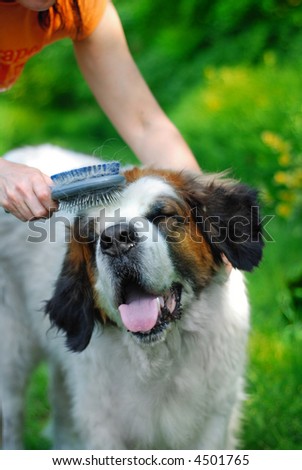 Dog cleaning