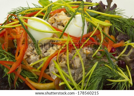 vegetable salad; cooking art; dish for the restaurant;