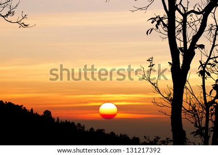 Dramatic sun setting above forest with tree branches silhouette