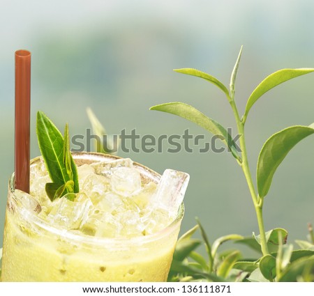 A Cup of ice tea with fresh green tea
