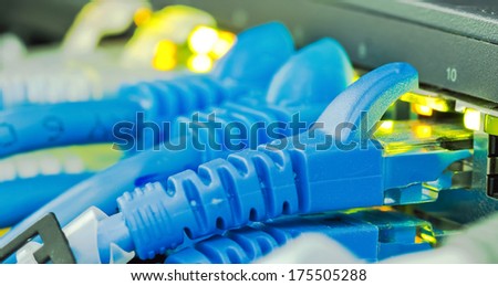 Ethernet cables with blue color connector plug in to equipment