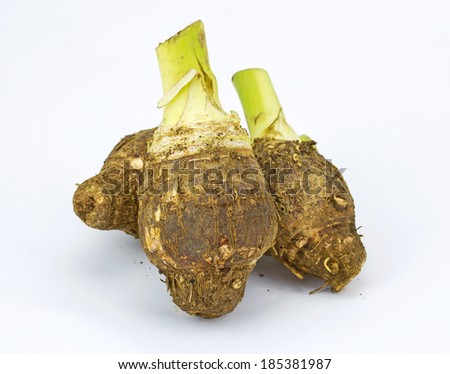 Fresh Taro roots with piece of soil isolated on white background