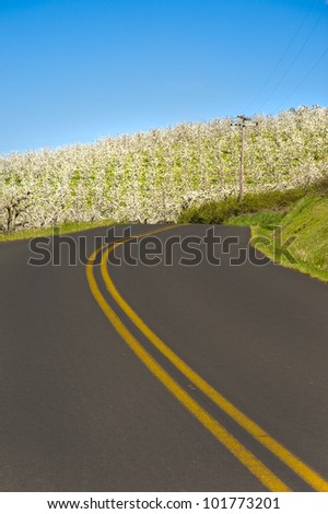 Rural road among apple orchards of Hood River Valley