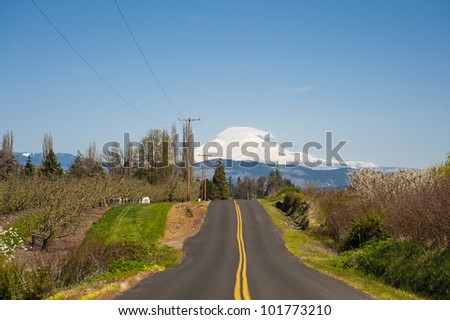 Rural road through Hood River Valley, Mt. Adams in background