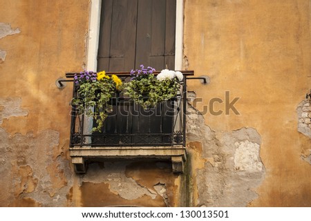 Flower boxes below a window in Venice, Italy