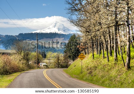 Rural road with Mt. Hood in background, Hood River Valley, Oregon
