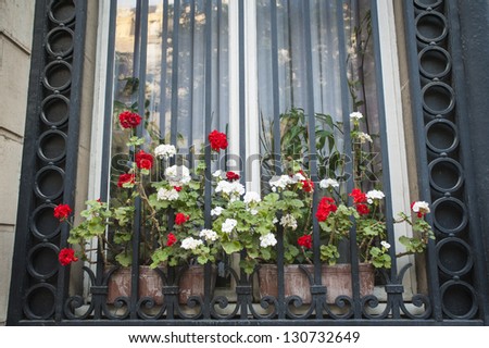 Flower box and barred window in Paris, France