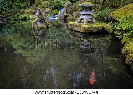 Koi in a garden pond in a Japanese garden