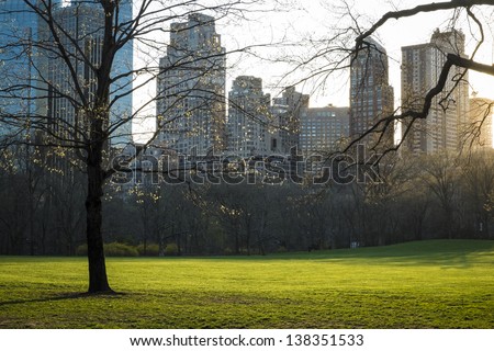Early evening light in Central Park, New York City