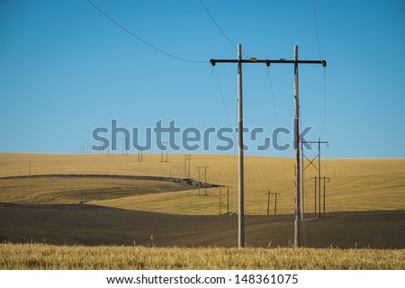 Wheat fields and power lines in eastern Washington state