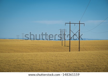 Wheat fields and power lines in eastern Washington state