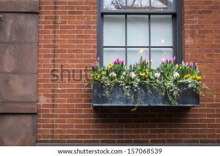 Window box with spring flowers, on an old apartment building