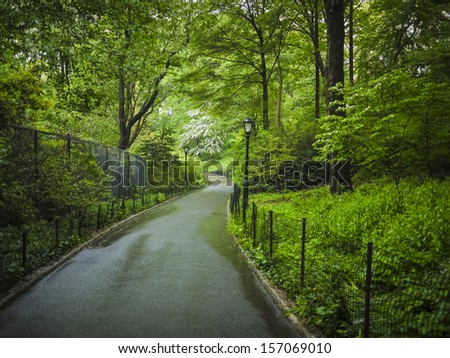 Sidewalks and forests in spring, Central Park, New York City