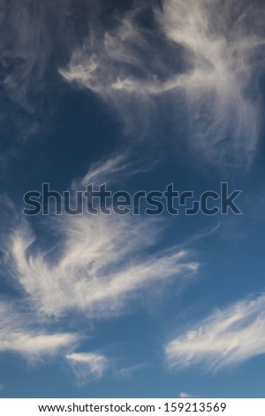 High, bird-shaped Cirrus clouds in blue sky