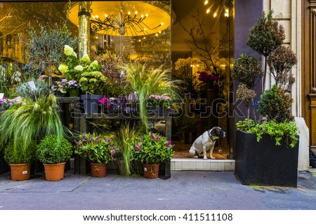 Cute dog sitting in the door of a flower shop in Paris