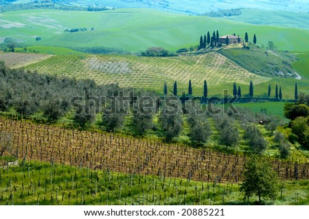 Italian villa near Pienza, in the Tuscany region of Italy.