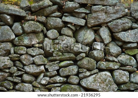 Rock wall running through an autumn forest in New England.