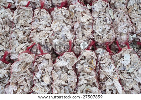 Bags of cleaned out oyster shells, ready for sale