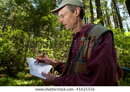 Forester reading a map in a forest among Douglas fir trees