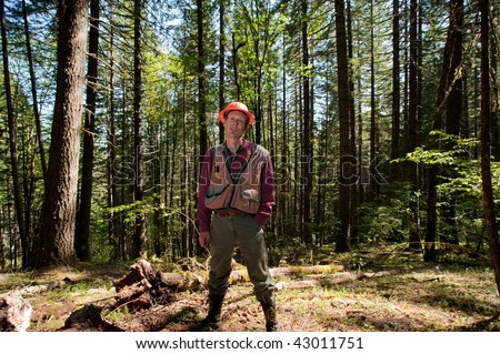 Forester in a hard hat standing among Douglas fir trees