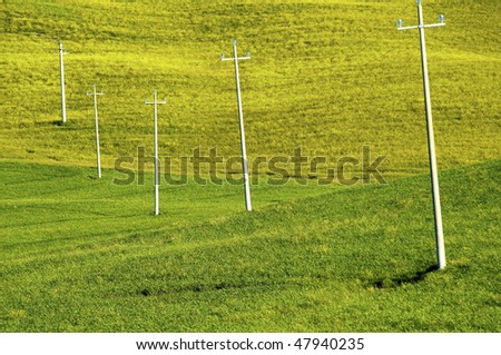 Power line telephone poles in rural green grass and wheat field in countryside and farm.