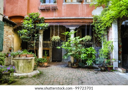 Container gardening in courtyard in Venice, Italy