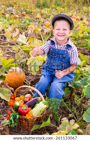 Happy kid sitting on pumpkin\'s field with basket of vegetables and signing thumbs up