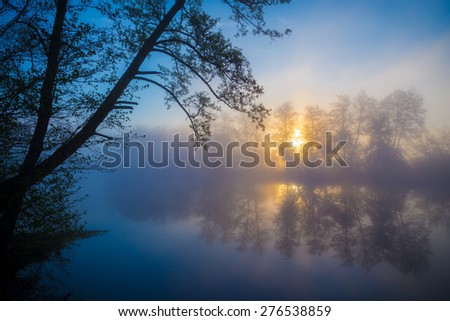 Morning fog on a forest river, tranquil scene. Vorskla river, Ukraine