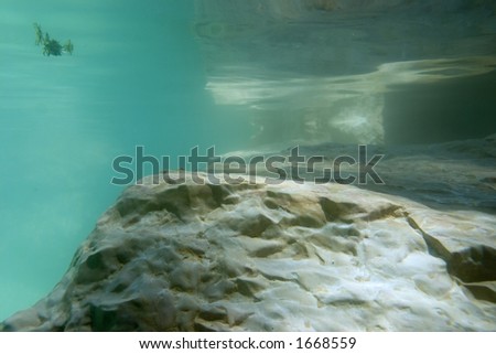 Animal water tank with a large rock and turquoise water.