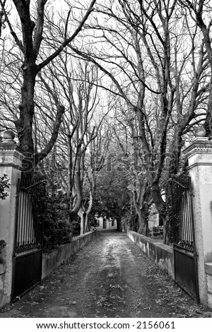 Large open gate with long driveway lined with bare autumn trees in black and white.