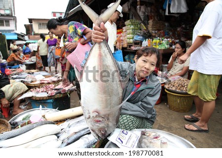 DAWEI, MYANMAR- JULY 15 : Dawei morning market ocean offers food security on July 15 , 2013. A city in southeastern Myanmar and is capital of Tanintharyi Region.
