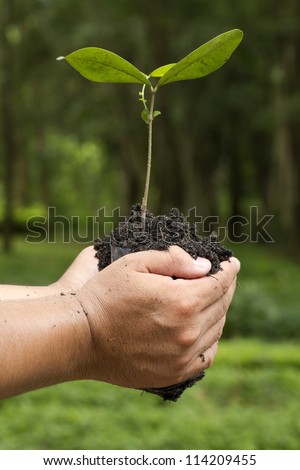 Hand holding and planting new tree with green Forest background
