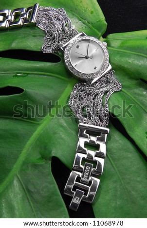 Woman watch close-up with leaf