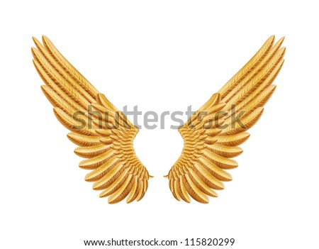 Golden Wings Stock Vector Illustration 115820299 : Shutterstock