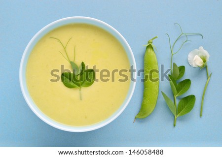 Cold creamy green pea soup with buttermilk and leak and potato. Green soup garnished with pea tendril. Pea pod, flower and tendril.