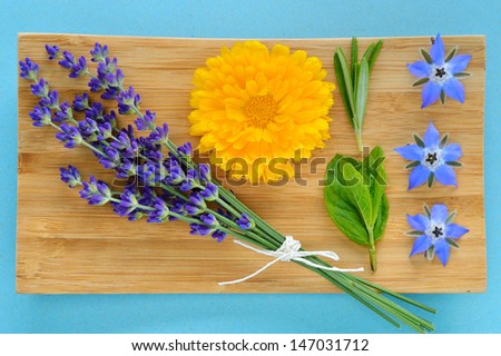Summer herbs and edible flowers on wooden plate on blue background. Lavender (Lavandula), marigold (Calendula officinalis), Rosemary, Mint and borage (borago). Also beauty care.